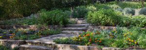 paysage_landscaping_about